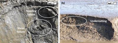 A three-dimensional experimental study on bank retreat: The coupled role of seepage and surface flow